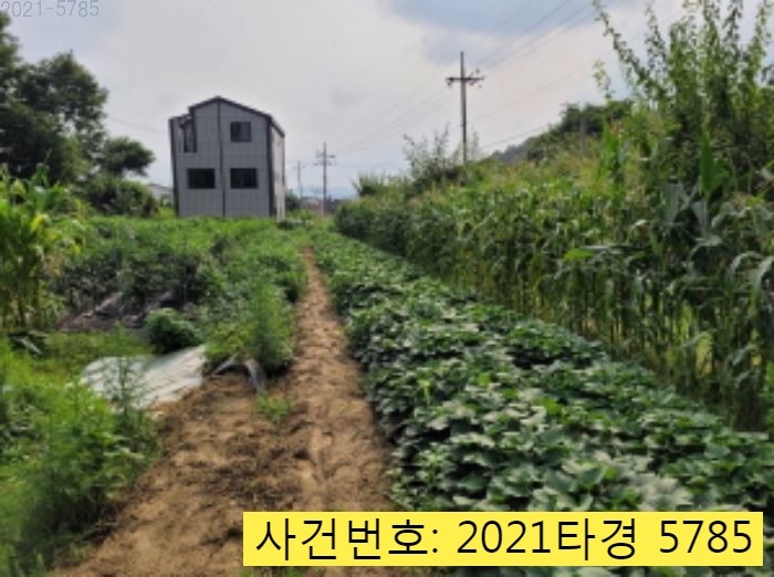 팔야식당 이미지