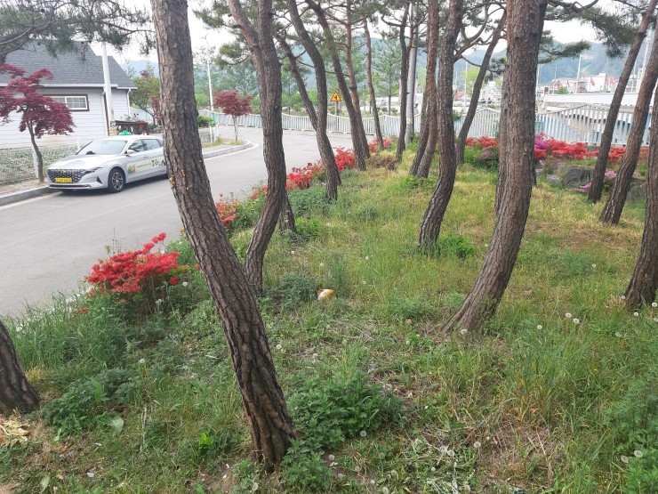 춘양목호스텔 이미지