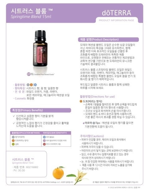 라벤더블룸 이미지