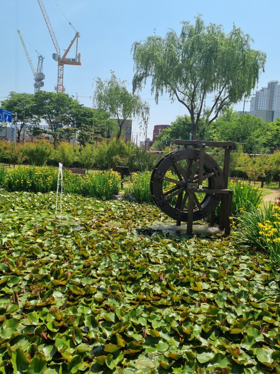 미석특수조경 이미지