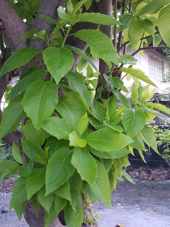 중앙환경산업 이미지