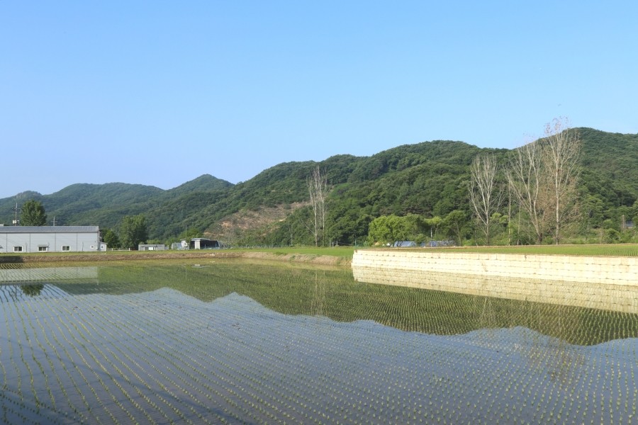 목천IC주유소 이미지