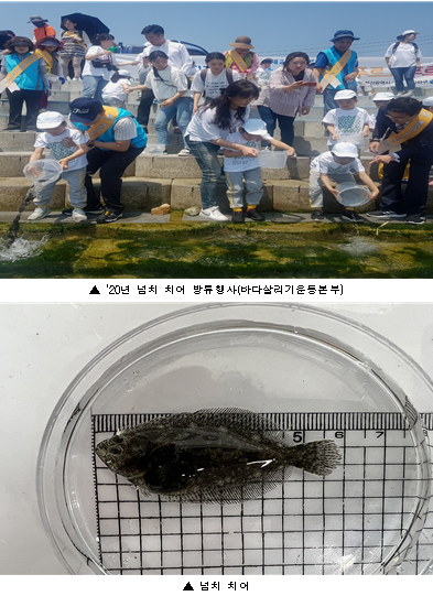 동선수산 이미지