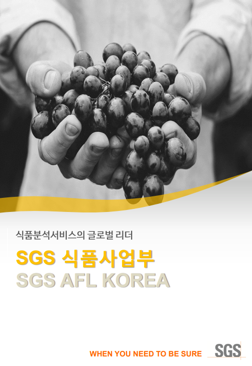 에스지에스 이미지
