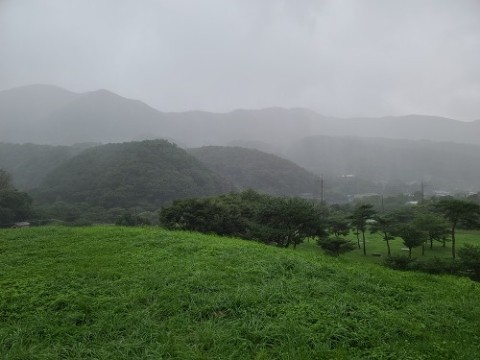 이*복 이미지
