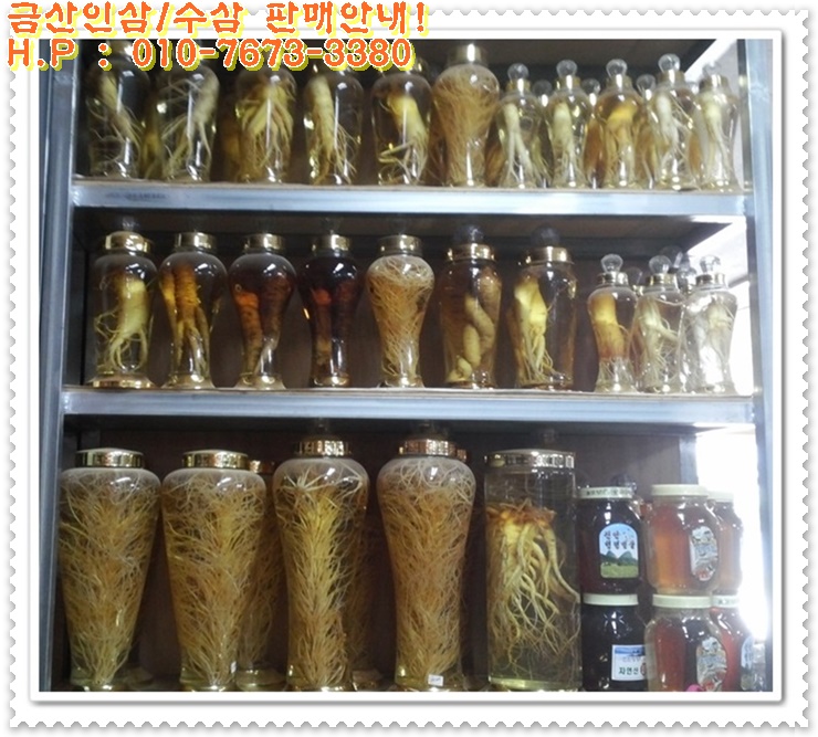 금산인삼직판장 이미지