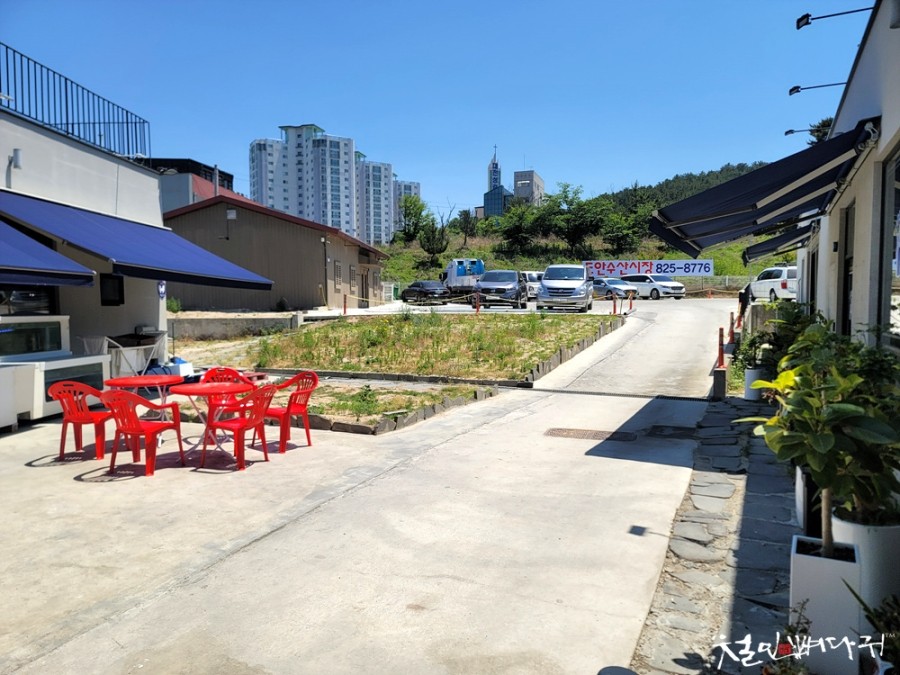 도안수산식당 이미지