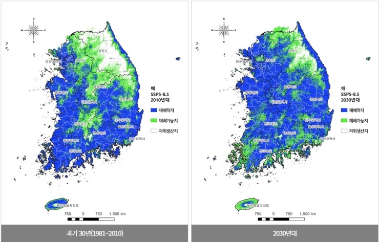 녹수슈퍼 이미지