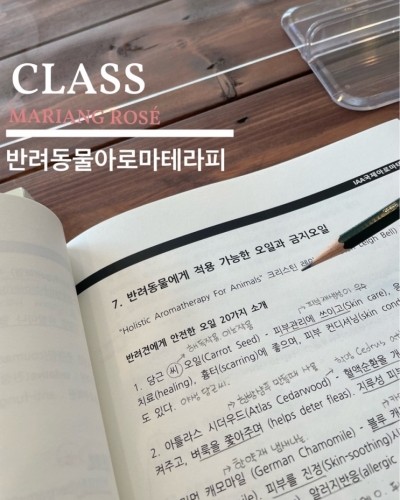 마리앙로제 이미지