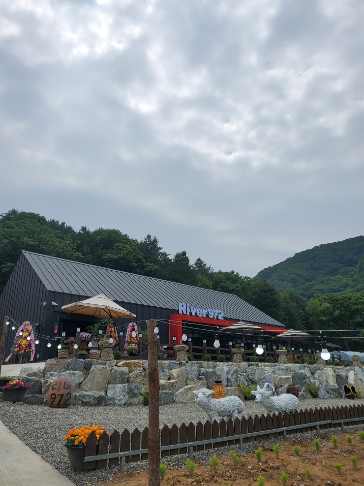 리버972 이미지