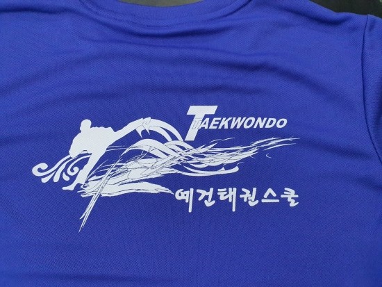 예건태권스쿨 이미지