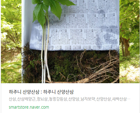 강원산양산삼 이미지