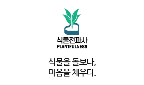 태양전파사 이미지