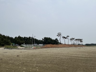 청포대일등캠핑장 이미지