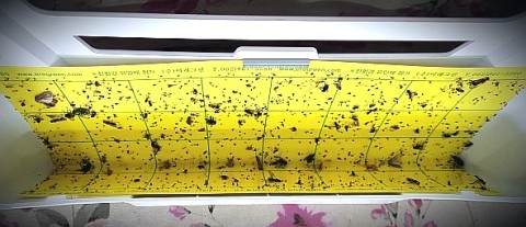 더본커머스 이미지