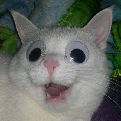 웹툰홀릭학원 이미지