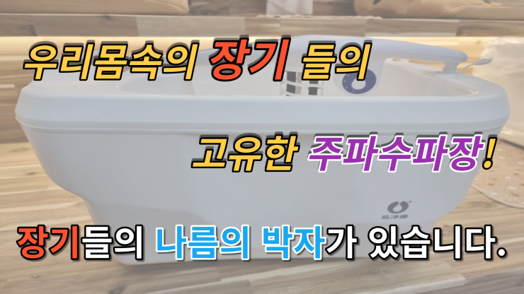 족욕힐링숲라파 이미지