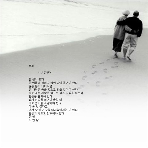 노부부2.jpg
