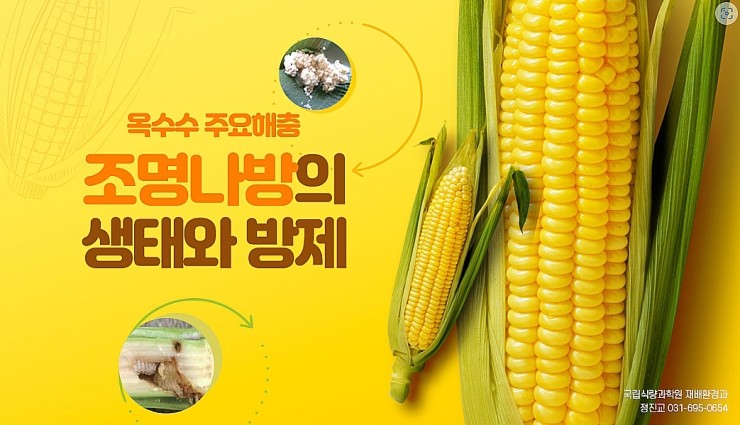 대륙조명 이미지