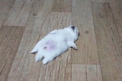 내몸N약손 이미지
