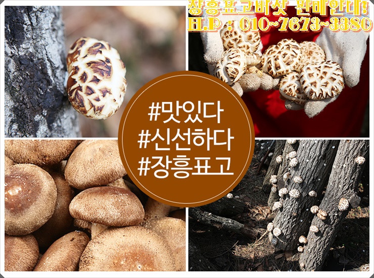 장흥표고식품 이미지