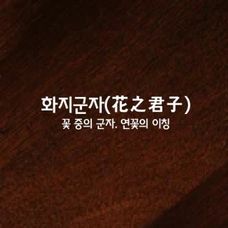 화지 이미지
