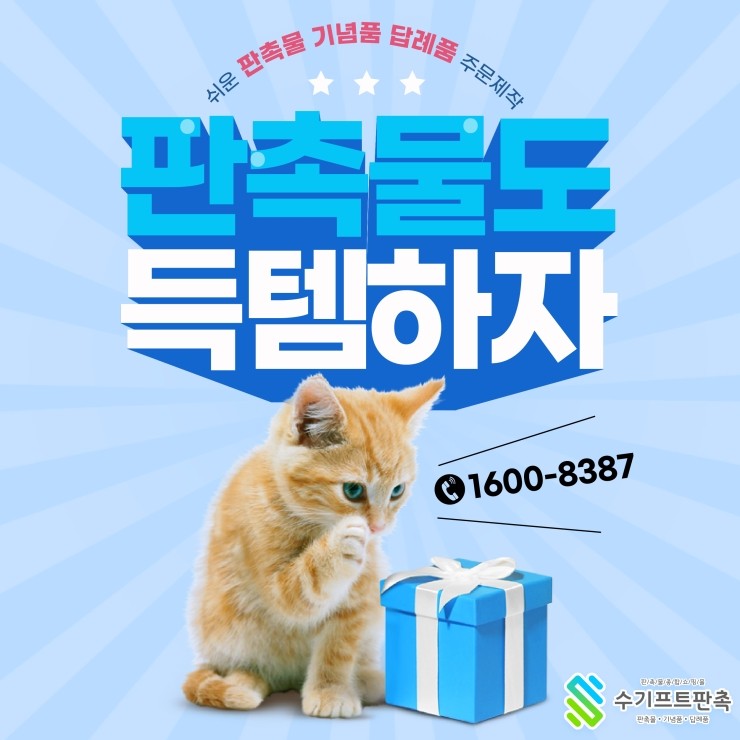 수 기프트판촉 이미지