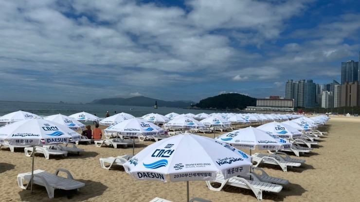 (주)엑스포디자인 이미지