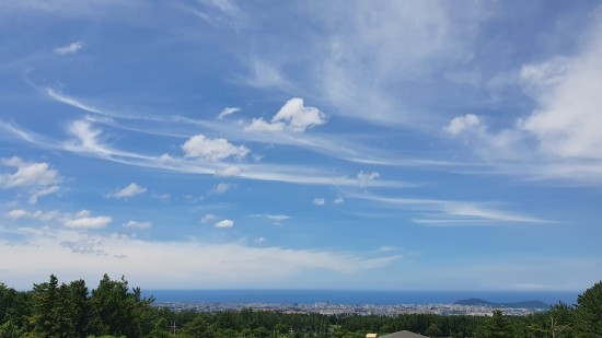 바라본바다 이미지