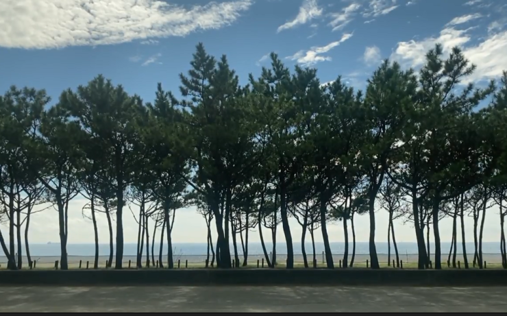 주식회사 금상 이미지