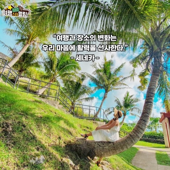 국제여행사 이미지