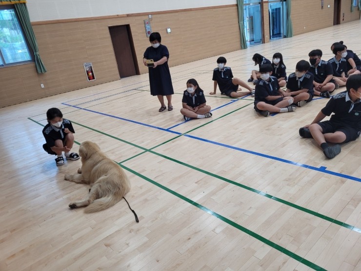 학산중학교 이미지
