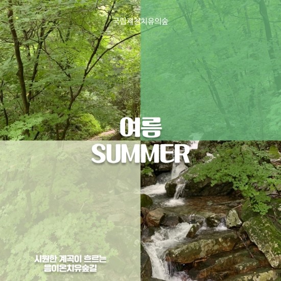 제천 치유의 숲 이미지