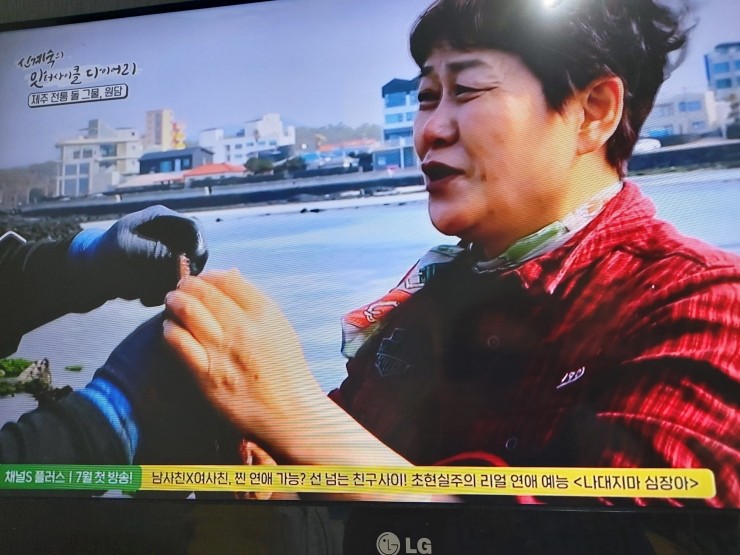 금능식품 이미지