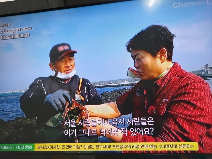 금능식품 이미지