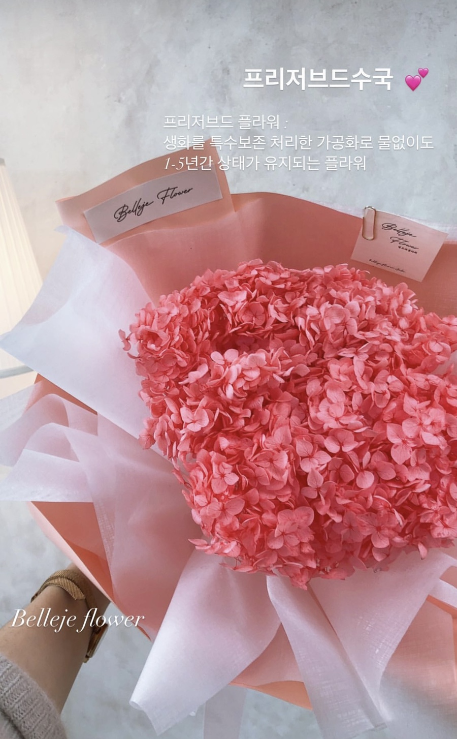 벨르제플라워 이미지