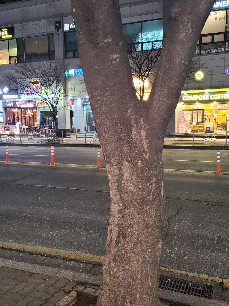 서현법무사사무소 이미지