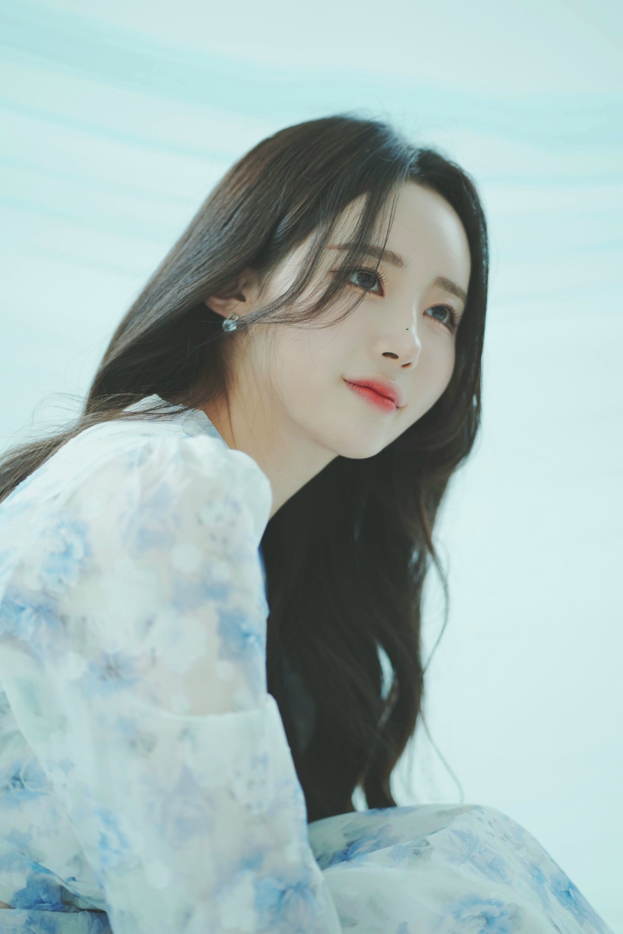 파랑새사진관 이미지