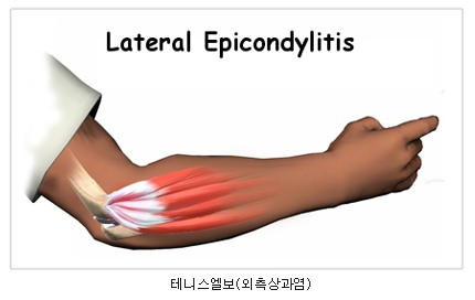 참편한마취통증의학과의원 이미지