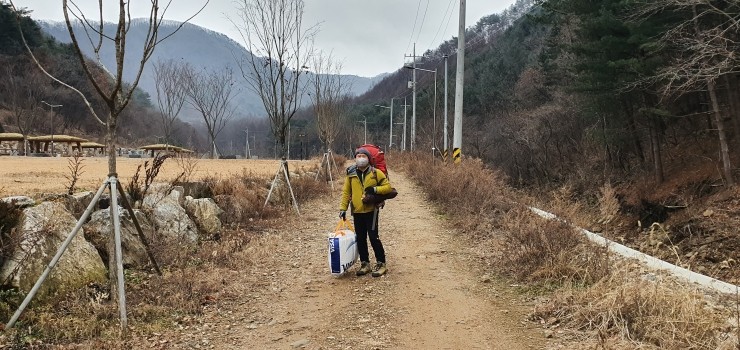 호명산잣나무숲속캠핑장 이미지