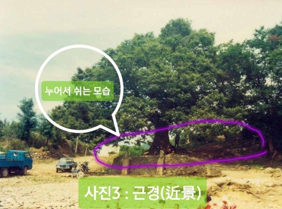 카페오수 이미지