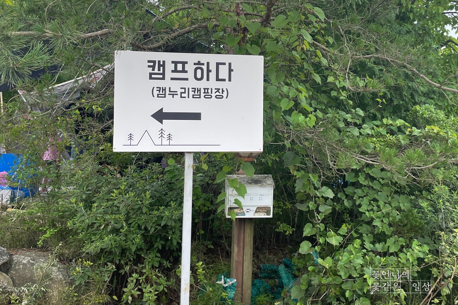 캠프하다 이미지