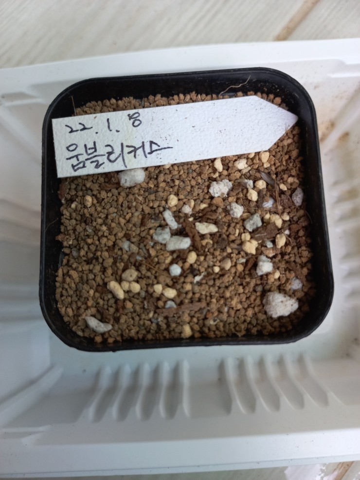 대지사 이미지