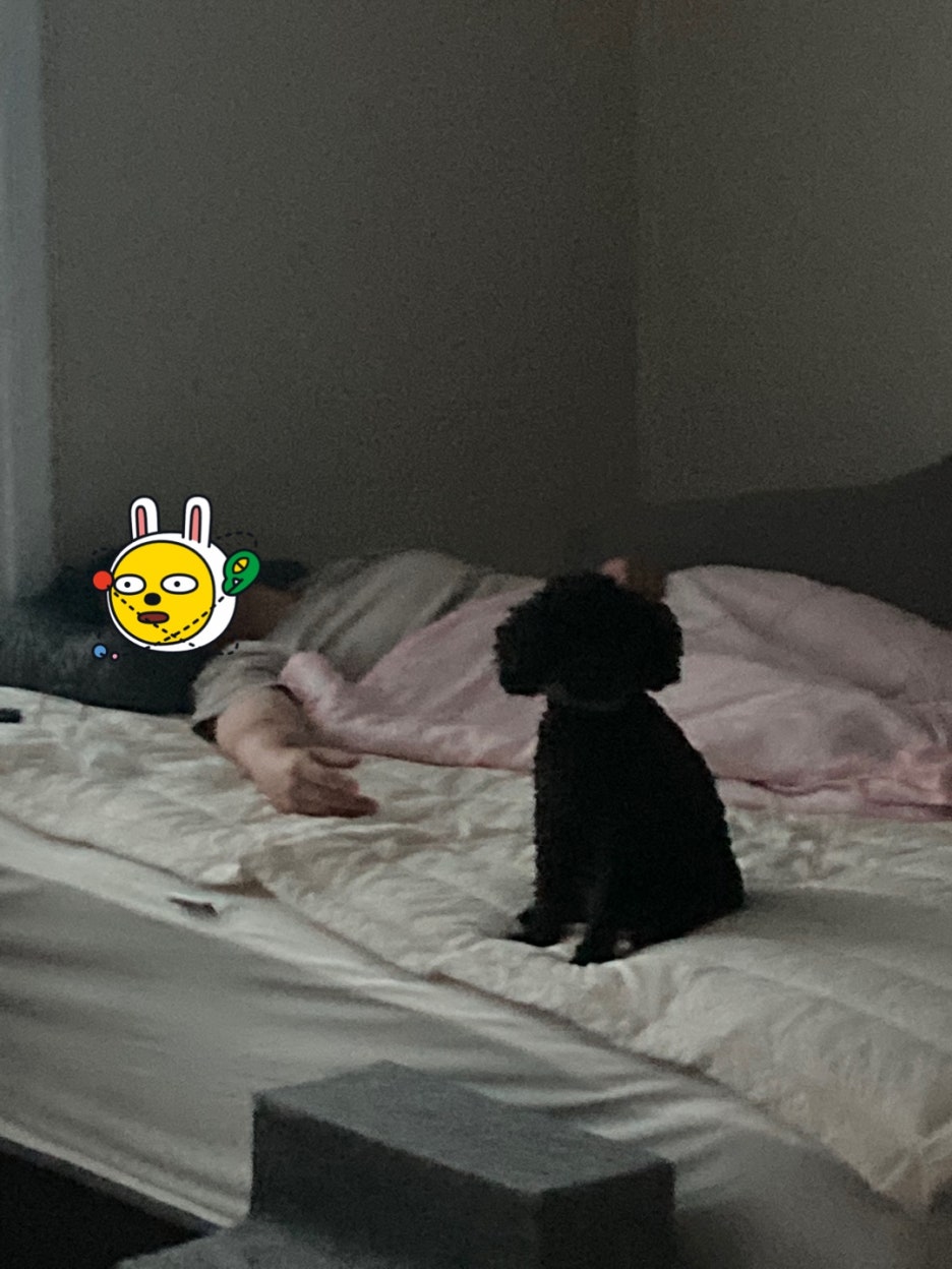 (주)바마 이미지