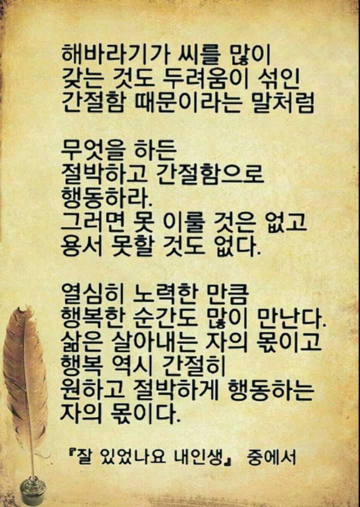 고운세상 이미지