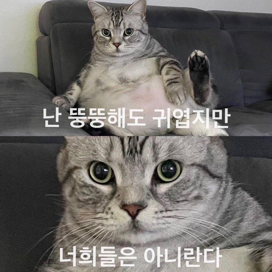 땅땅치킨마산 이미지