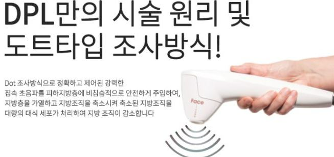 디피엘 이미지