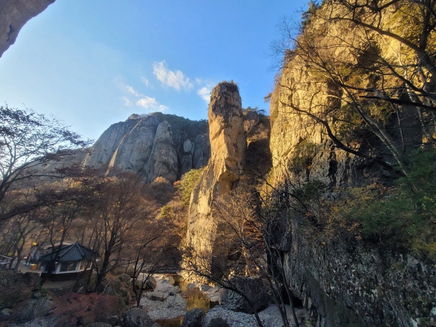 청송·영양 식품 이미지