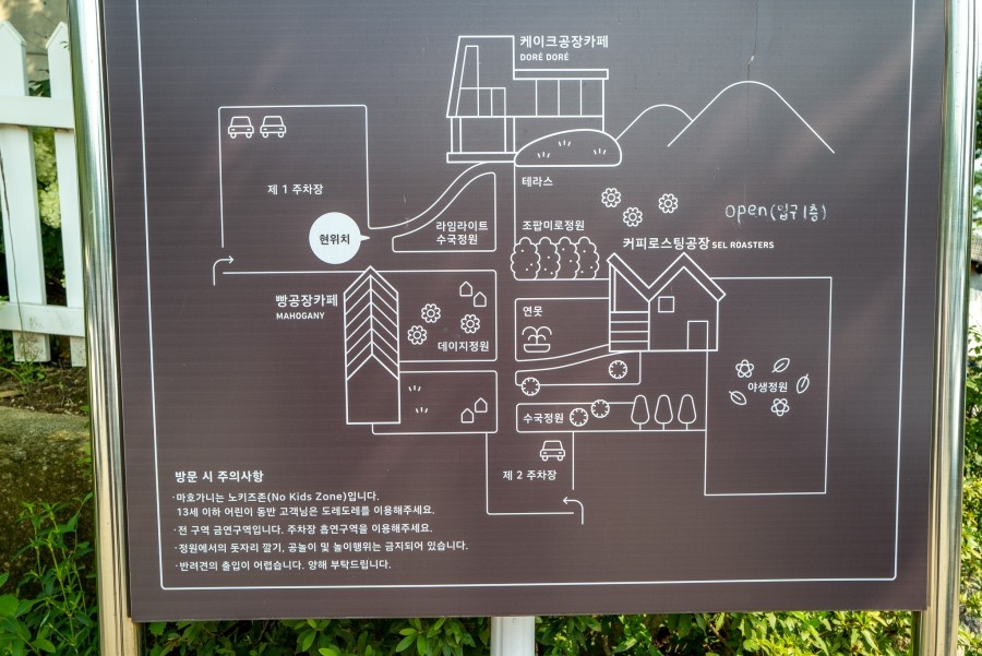 셀로스터스 이미지