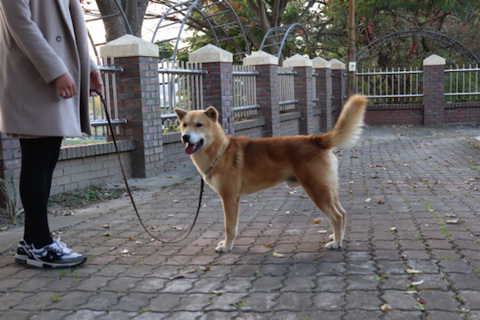 대하축산 이미지
